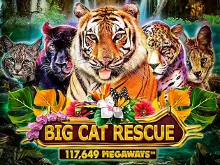 Big Cat Rescue Megaways game screenshot